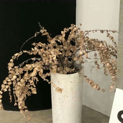 榕江福瑞交流群